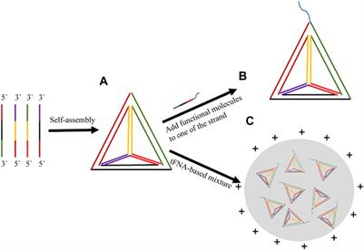 Application of Programmable Tetrahedral Framework Nucleic Acid-Based Nanomaterials in Neurological Disorders: Progress and Prospects